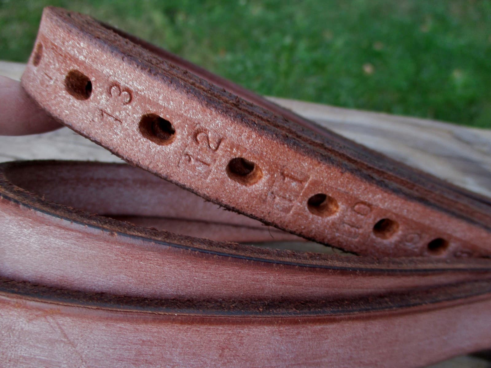 Deluxe English Saddle Stirrup Leathers "3/4 x 54" -Beveled Edges-Numbered Holes 5