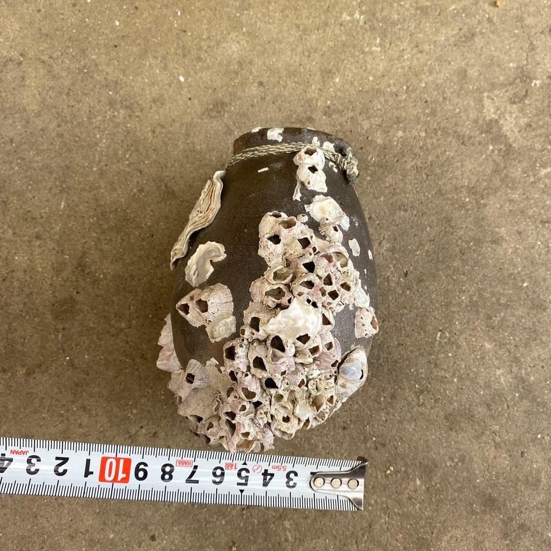 Japanese Ceramic Octopus Pot “Takotsubo” w/ Seashell VTG Japan 3