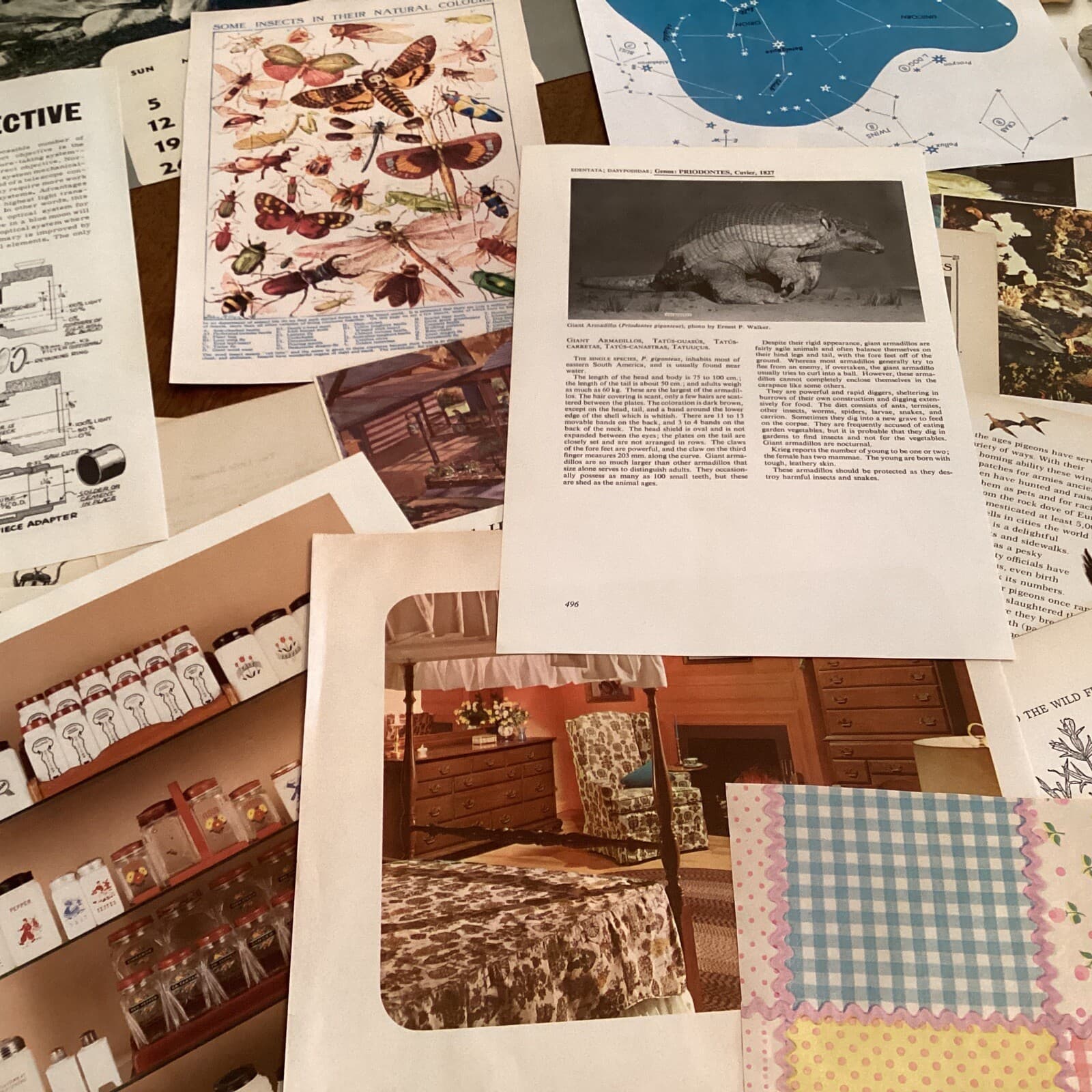 190+ Vintage Paper Ephemera Huge Lot - Perfect For Junk Journals Mixed Media 4