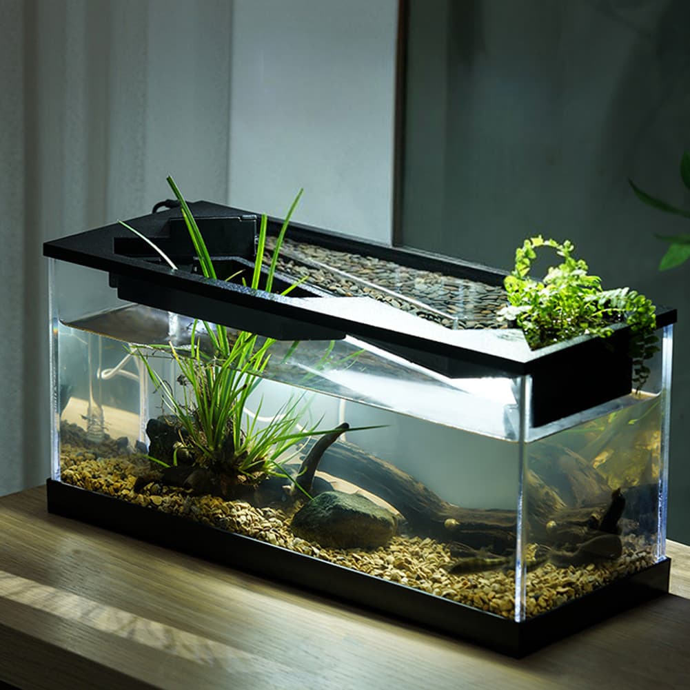 Small Fish Tank Aquarium w/ Light Water Pump Clear Cover Ecological Cycle System