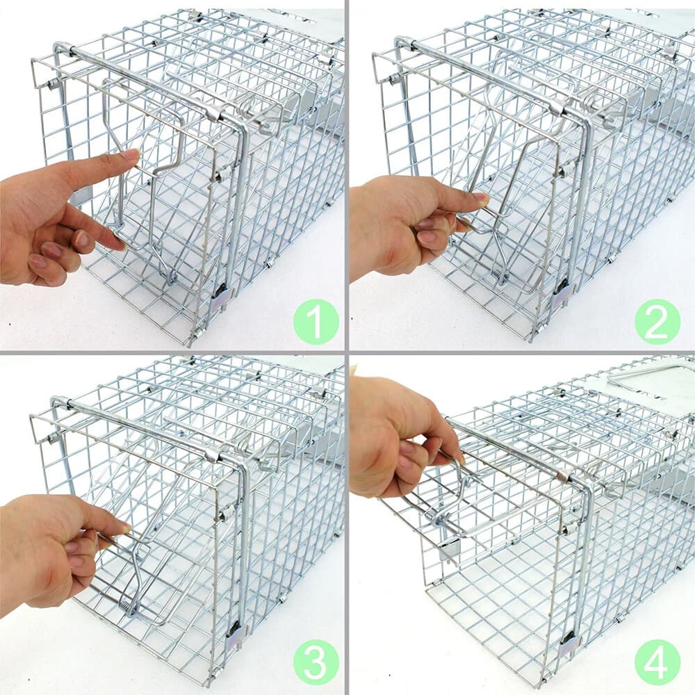 24" Humane Animal Live Trap Cage for Raccoons Rodent Control Stray Cat Squirrel 5