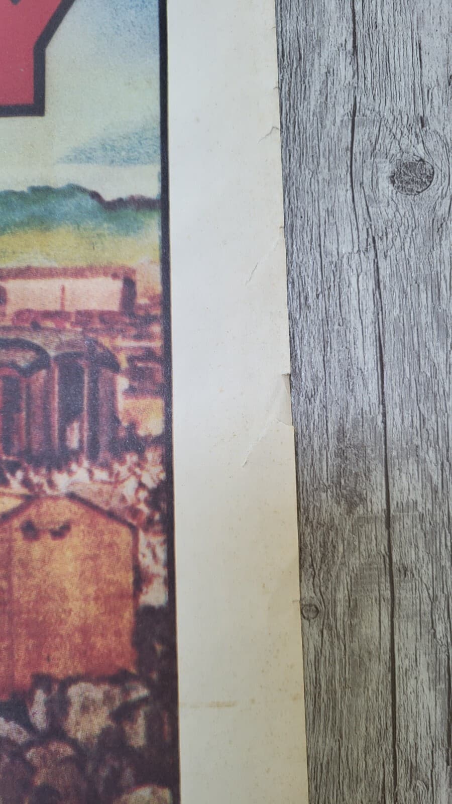 Vintage Ringling Bros Barnum & Bailey Circus Trains Poster RARE - 23.5" x 36.5" 6