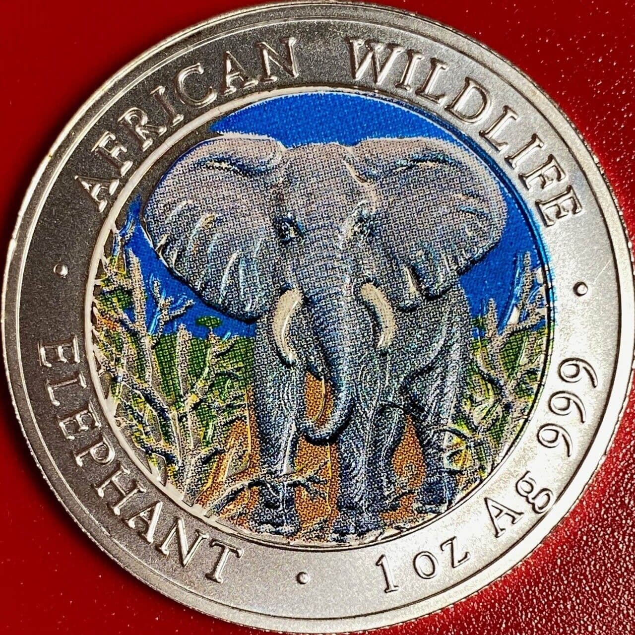 2004 SOMALIA 1000 SHILLINGS 1oz SILVER ELEPHANT COLORIZED AFRICAN WILDLIFE CROWN 3