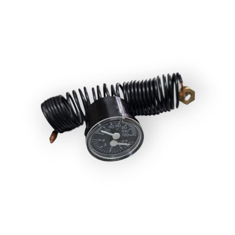 RIELLO 4050864 THERMOHYDROMETER Ø 40 mm DOMUS KV 31 ICMN BOILER