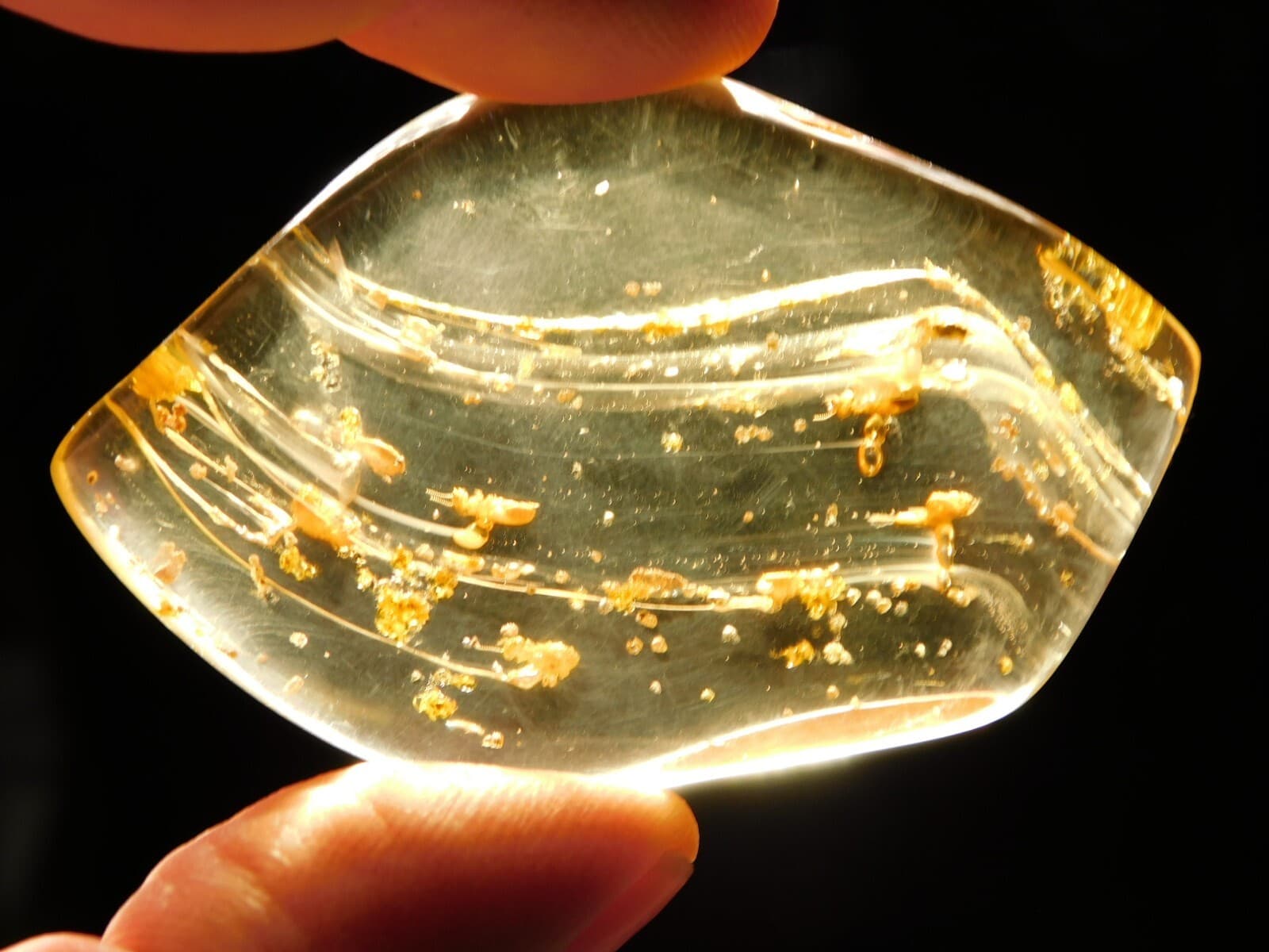 Polished Fossil AMBER With FOUR! Little TERMITE Fossils From Colombia 18.6gr 4