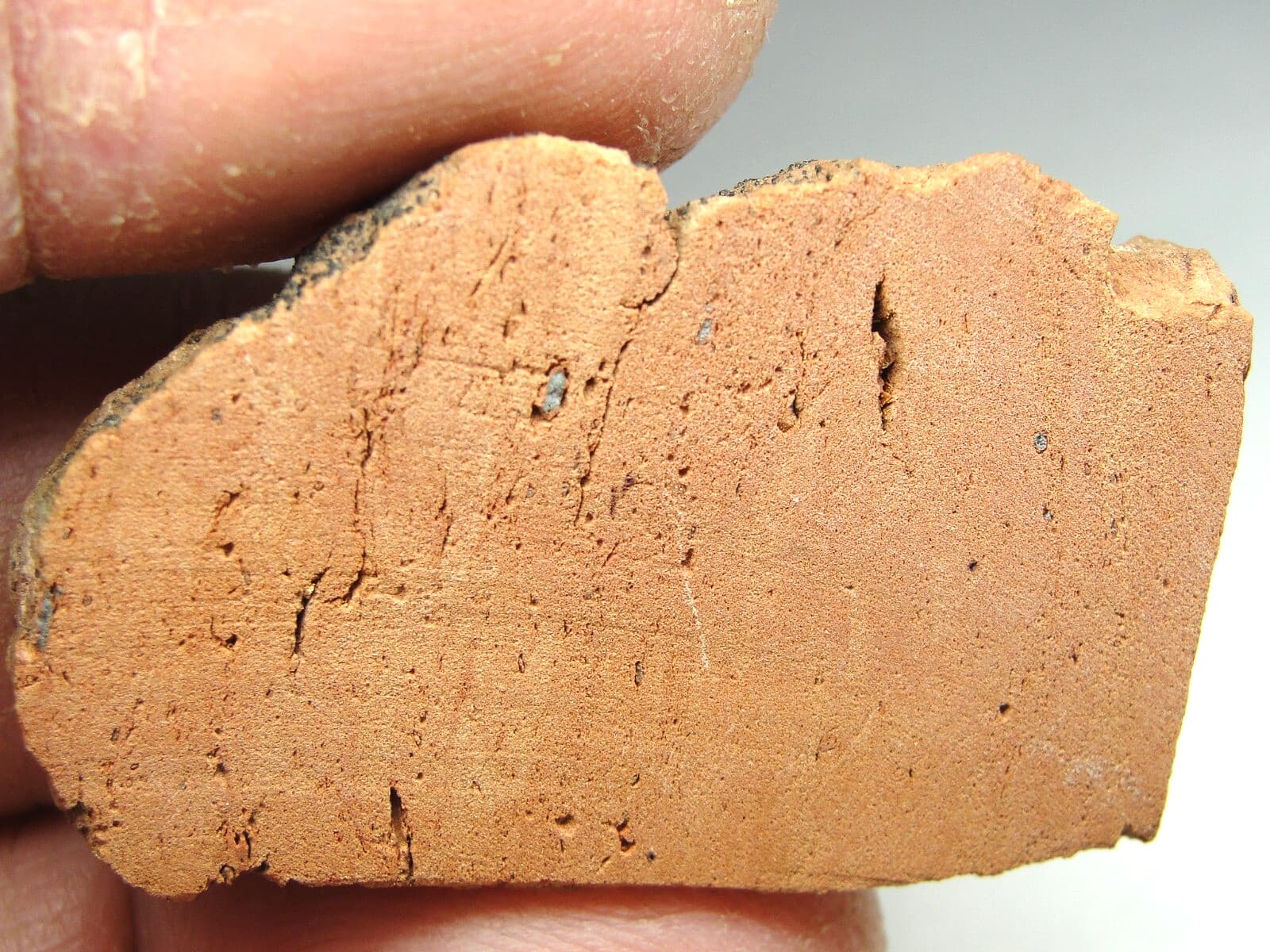 Rare KT Boundary Material - Montana - KT-0163 - 7.84g - Rare Claystone - Slice 2