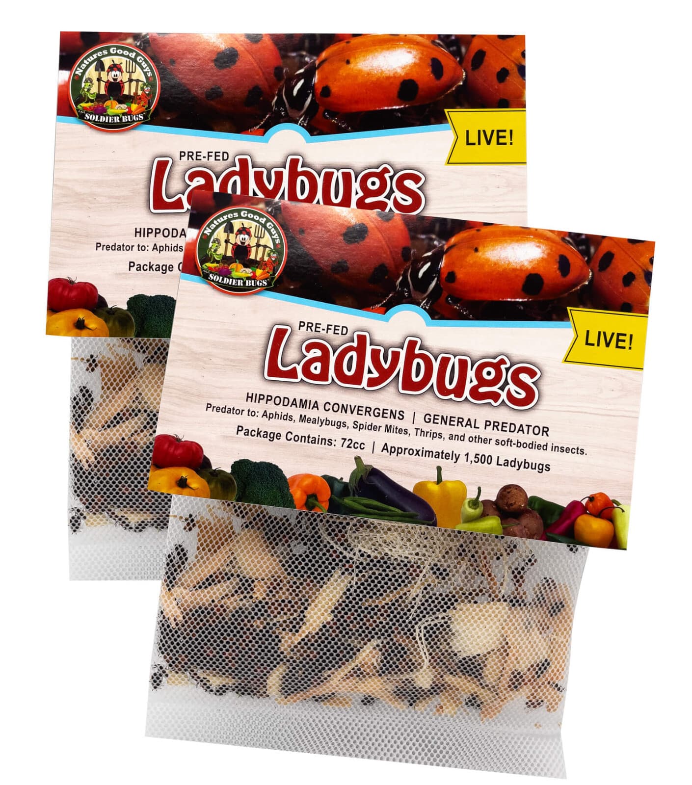 3,000 Live Ladybugs - Guaranteed Live Delivery! (2 x 1,500)