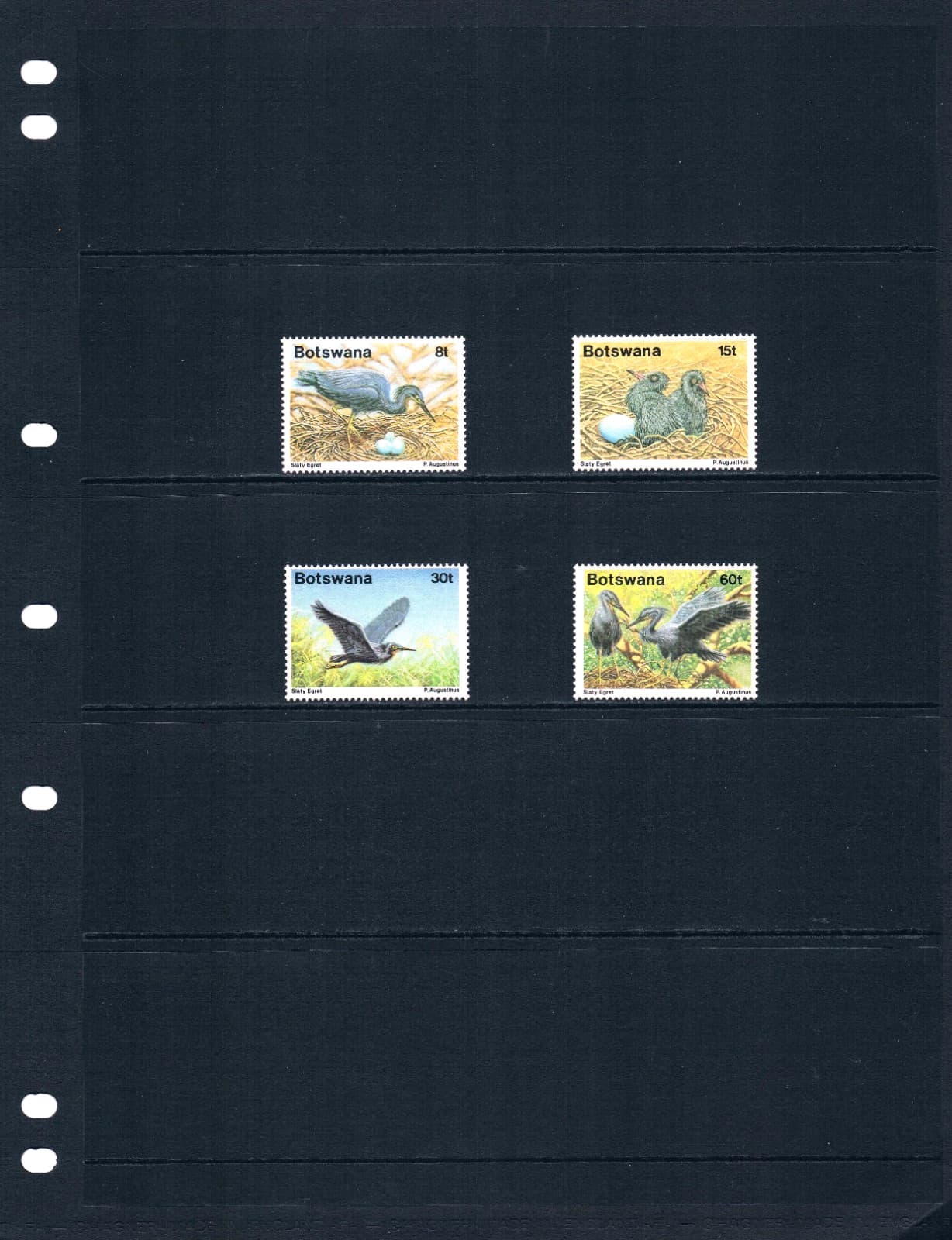$5.50 Scott Value - 1989 BOTSWANA Egrets Birds African Wildlife CV MNH NH UMM 2