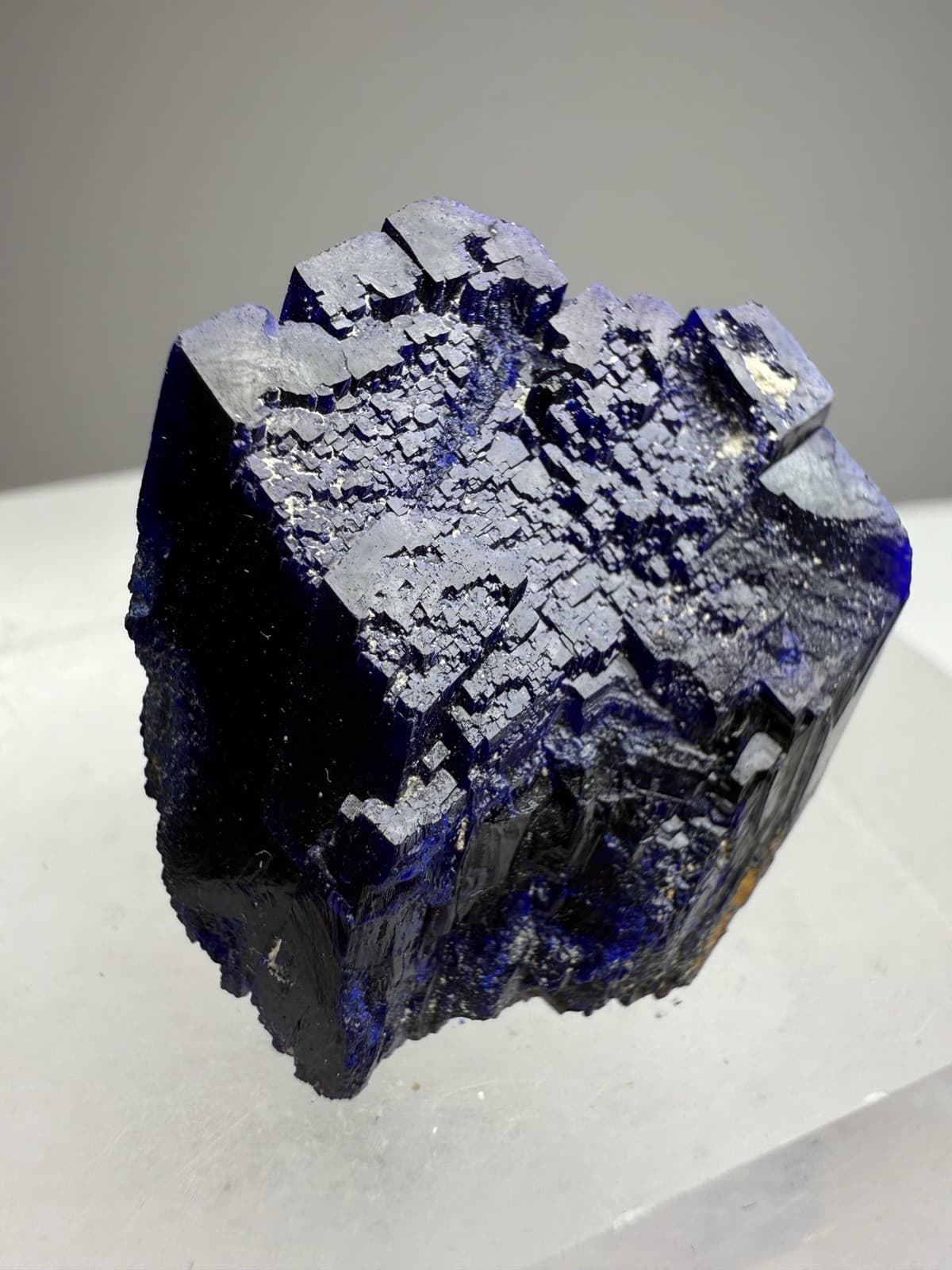 WOW! Electric Blue Azurite Malachite Gem Mineral Specimen • Kerrouchen  Morocco 4