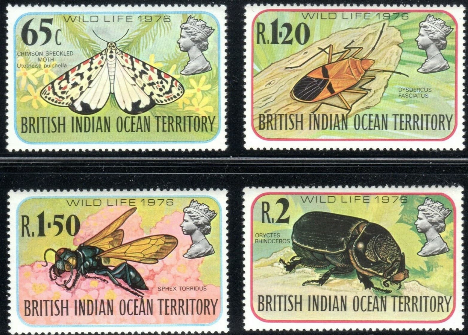 British Indian Ocean Territory Scott 86-89, SG 86-89 Wildlife VF MNH 1976 BIOT
