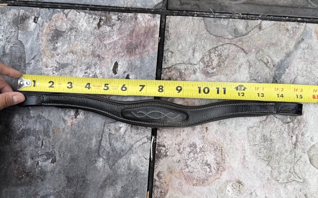 ✨ Gently Used - Leather Fancy Stitched Browband - Black - 15"