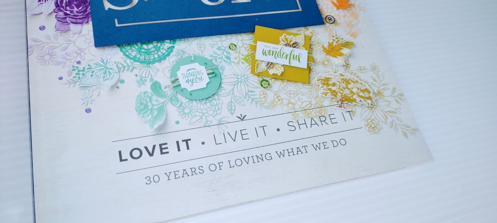Stampin' Up! Idea Book and Catalog 30 Years 2