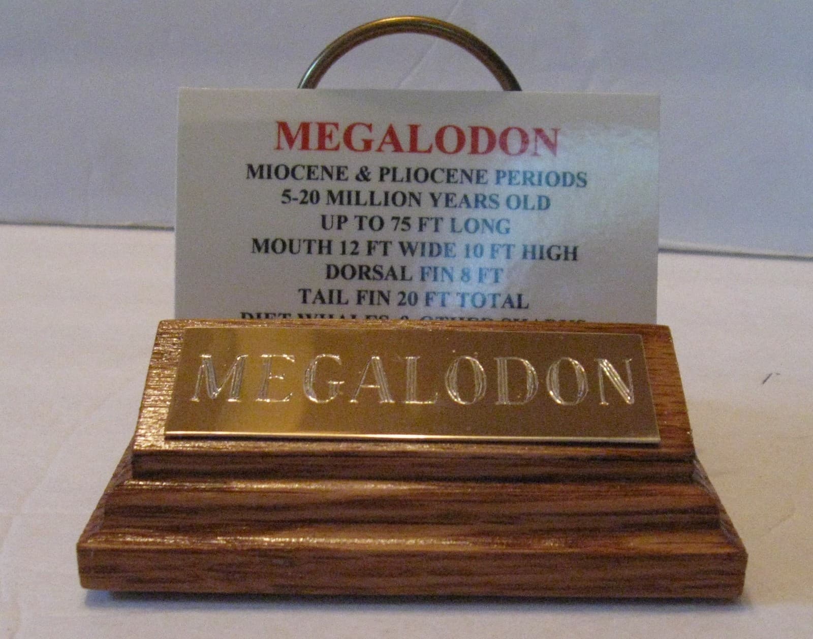 MEGALODON SHARK TOOTH 4" FOSSIL DISPLAY STAND ENGRAVED PLAQUE Tooth Not Included 6