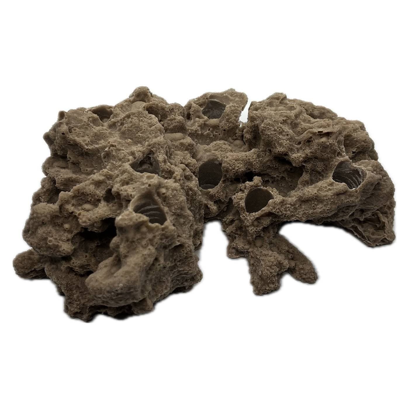 8 Hole Sandbed Frag Rack/Rock base for Live Coral Plug Ons 2