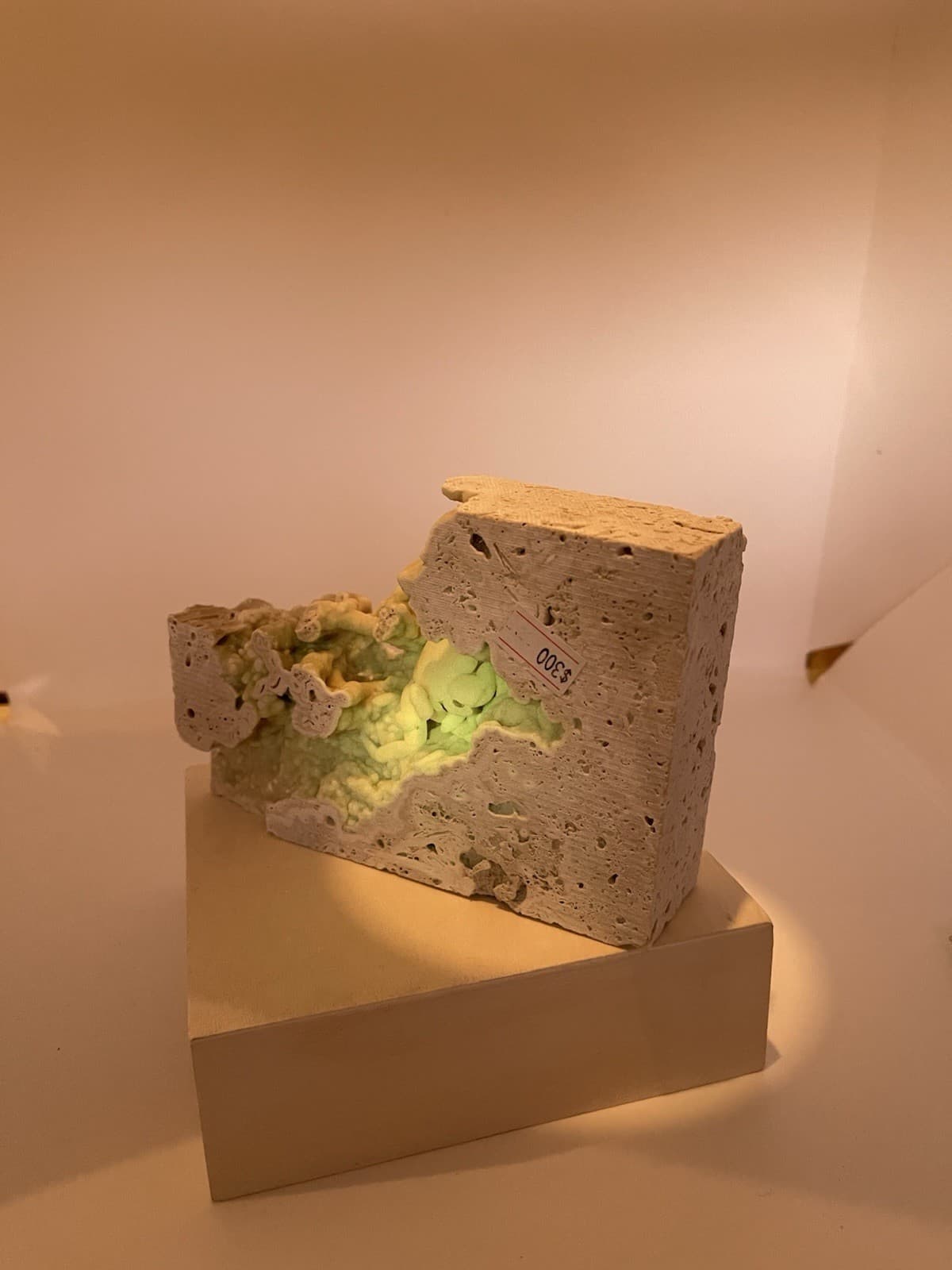 Travertine crab fossil 5