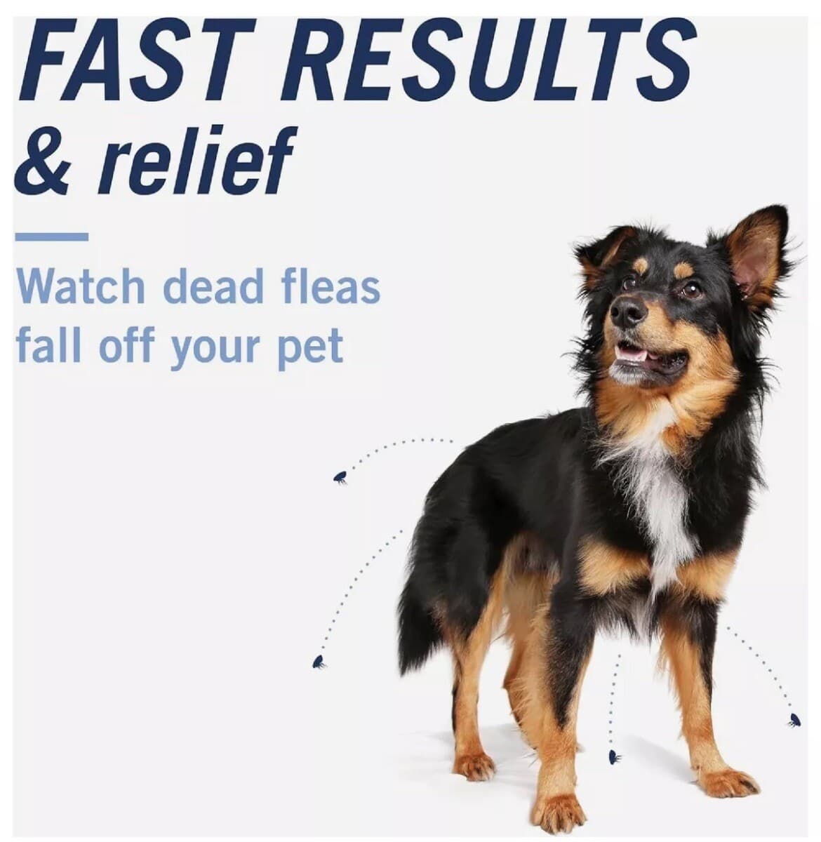 PET ARMOR CAPACTION, ORAL  TREATMENT DOGS OVER 2-25 lbs. 6 DOSES EXP 27 New 3