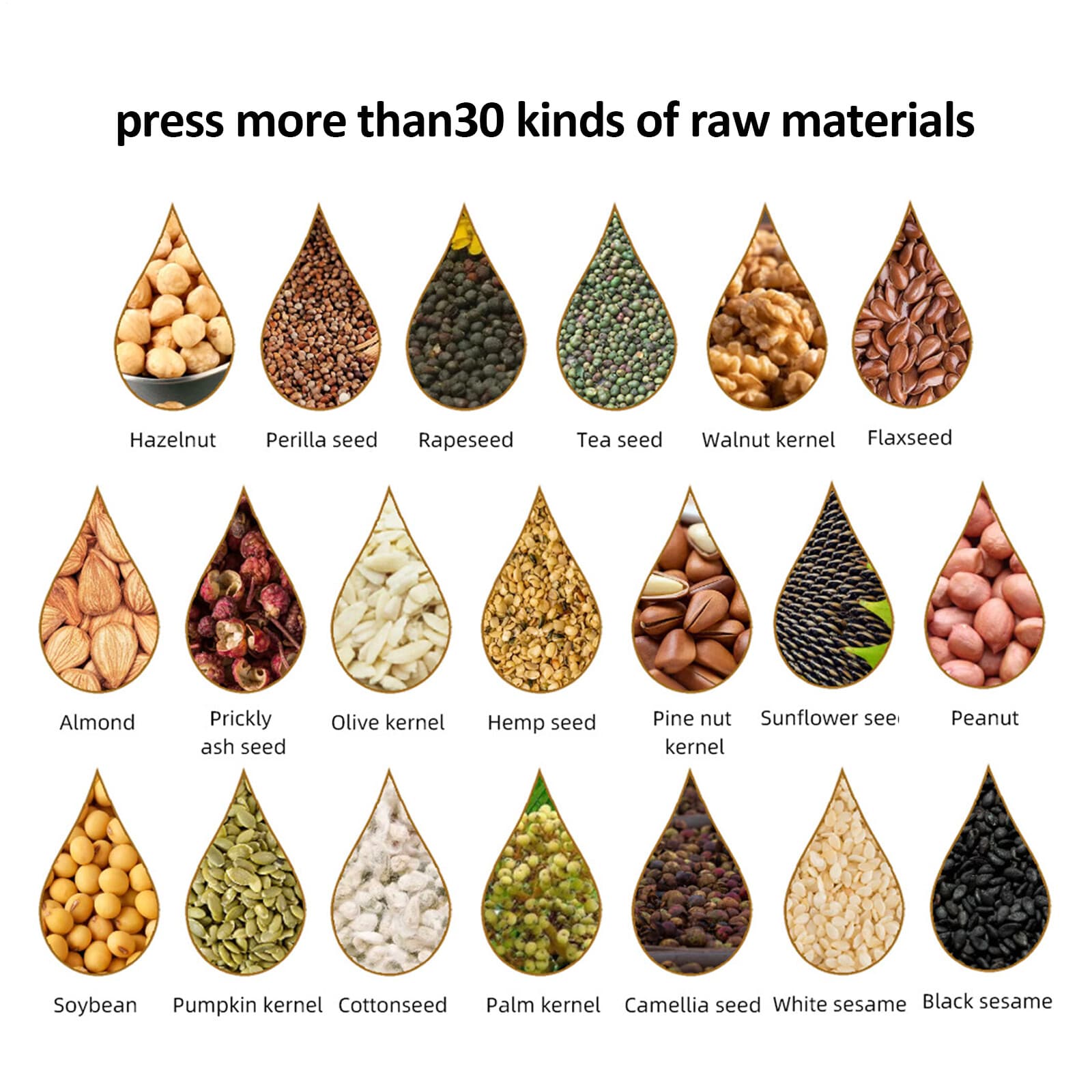 Cold Hot Oil Press Machine Commercial Nut Seed Oil Expeller Oil Extractor 80rmp 4