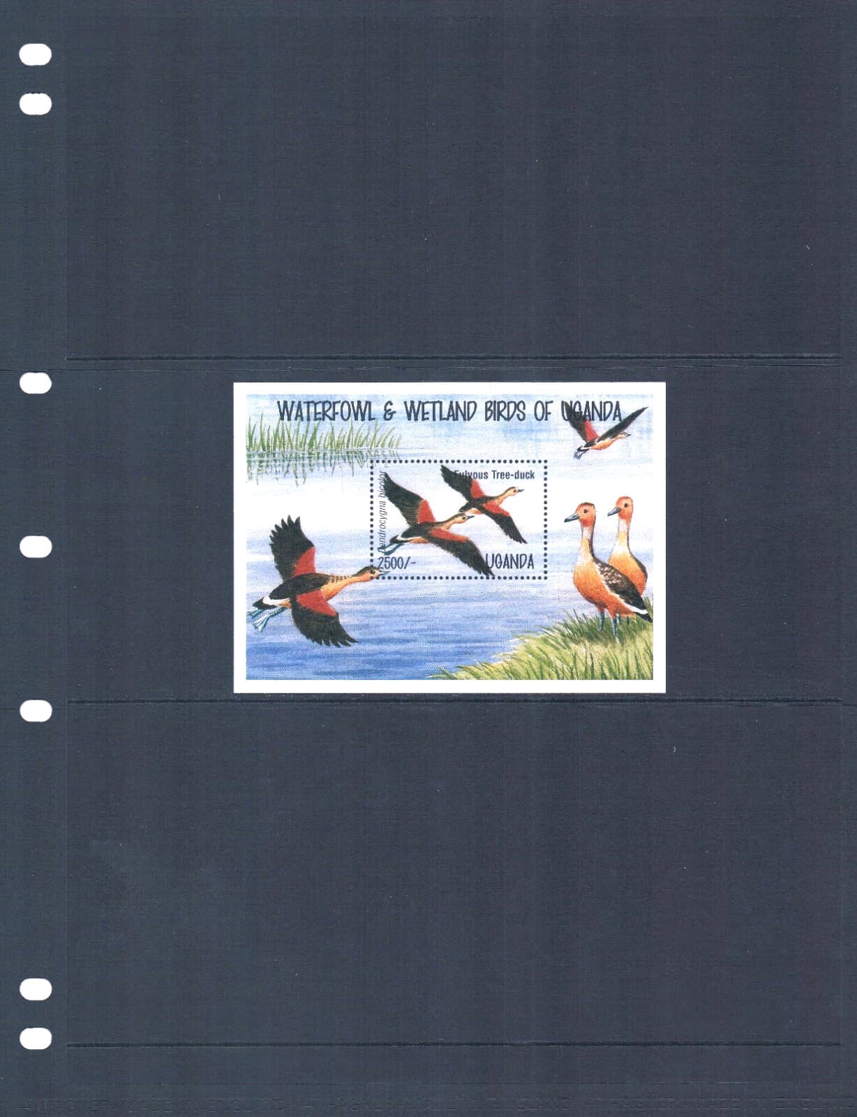 $5.50 Scott Value - 1995 UGANDA Ducks s/s Wetland Birds African CV MNH NH UMM 2