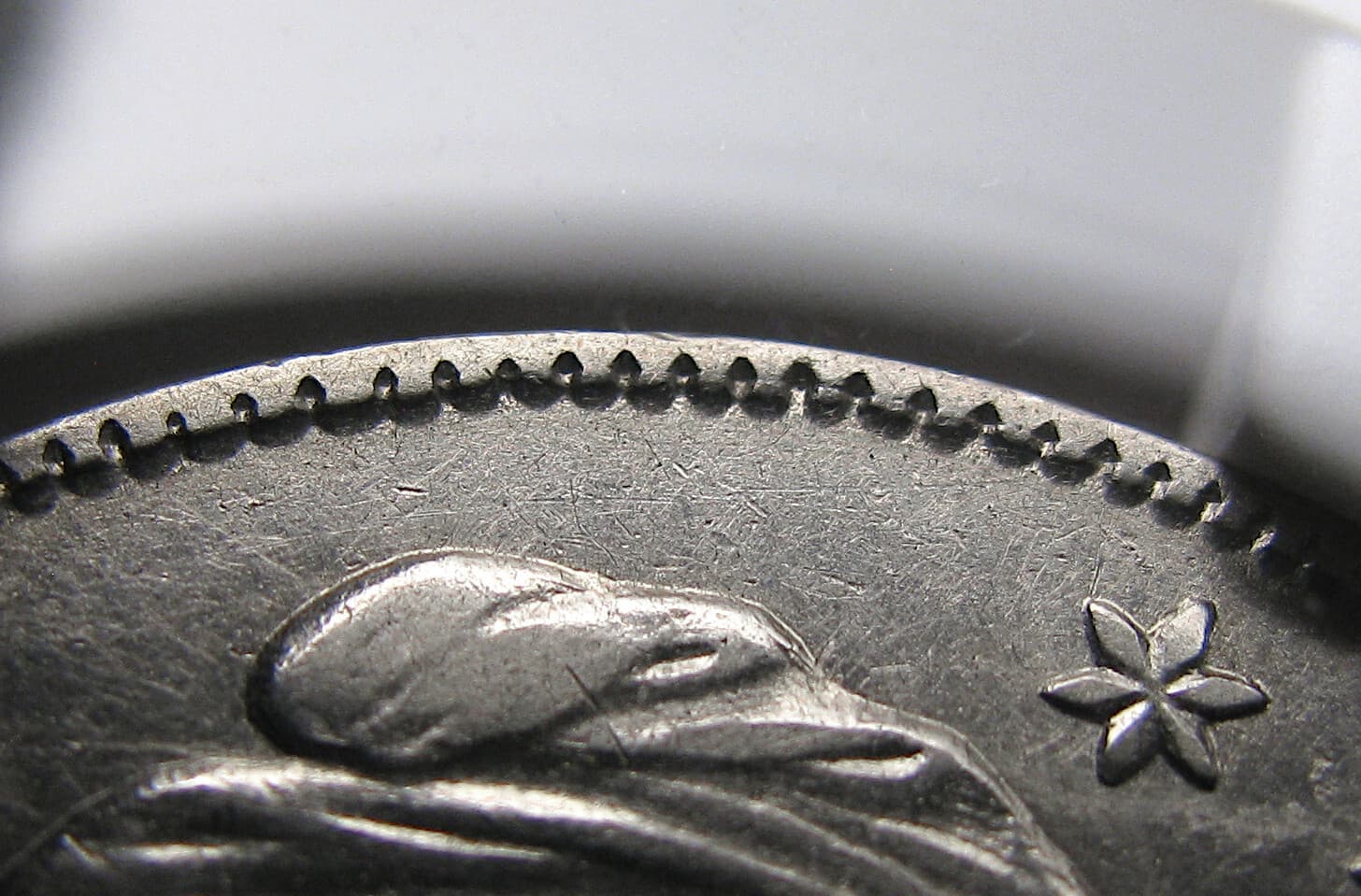 1836/1336 50C NGC XF45 O-108 CAPPED BUST ~ BRILLIANT SEMI-PL VARIETY!  VIDEO 3