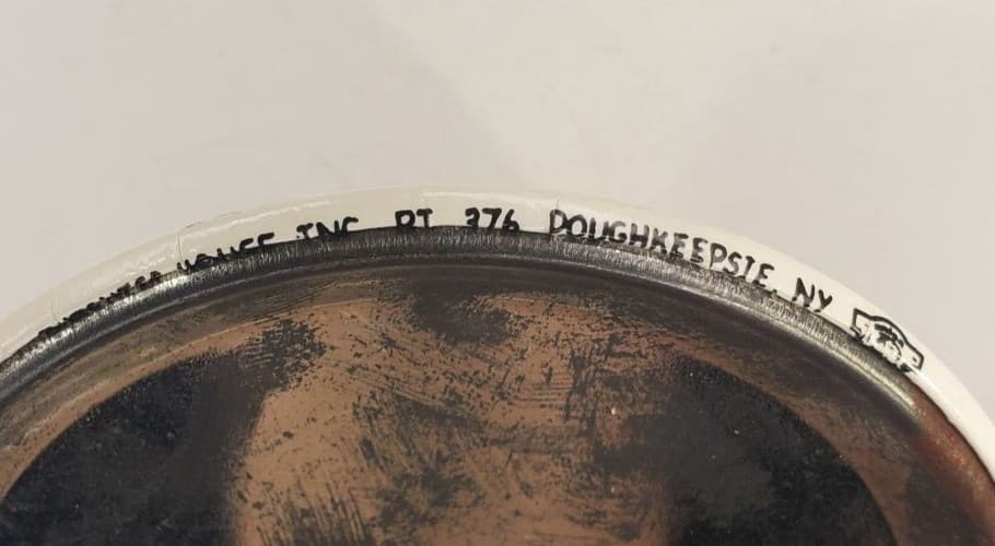 Vintage Novelty Im Only Here For The Beer Humorous Pinback Button 4