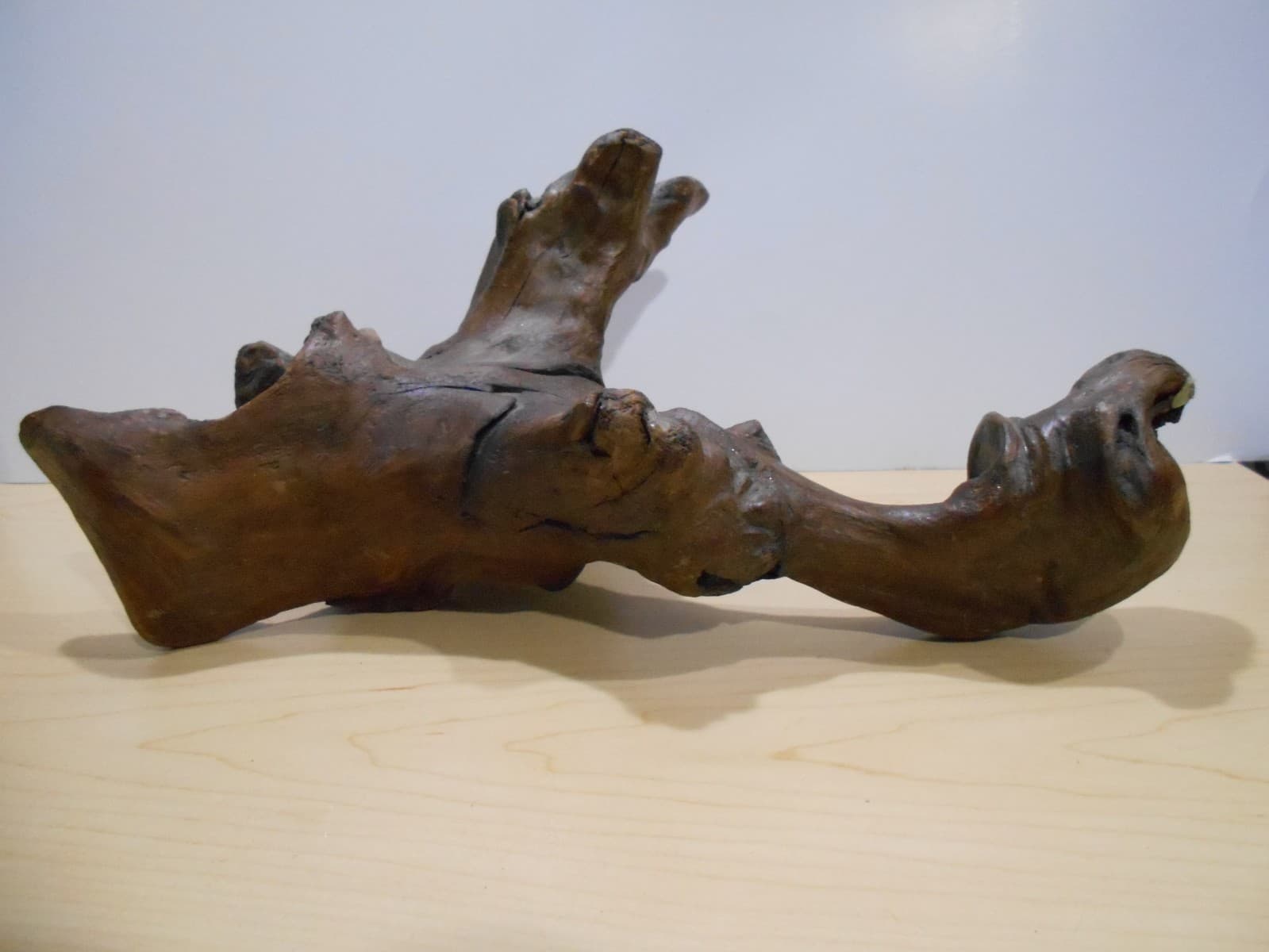 Driftwood Medium Aquarium Habitat Terrarium Orchid Mounting Planter Bonsai Wood