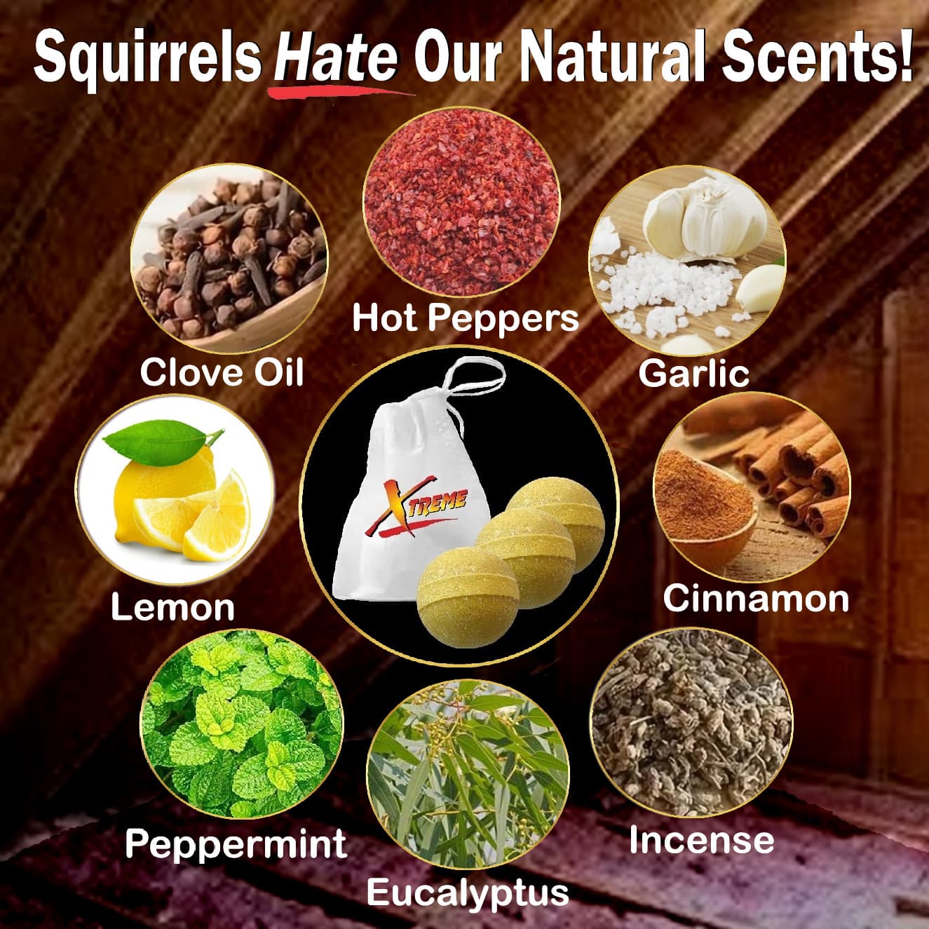 Xtreme Attic Squirrel Repellent. Drives Squirrels Out Fast! 5 Pack 3