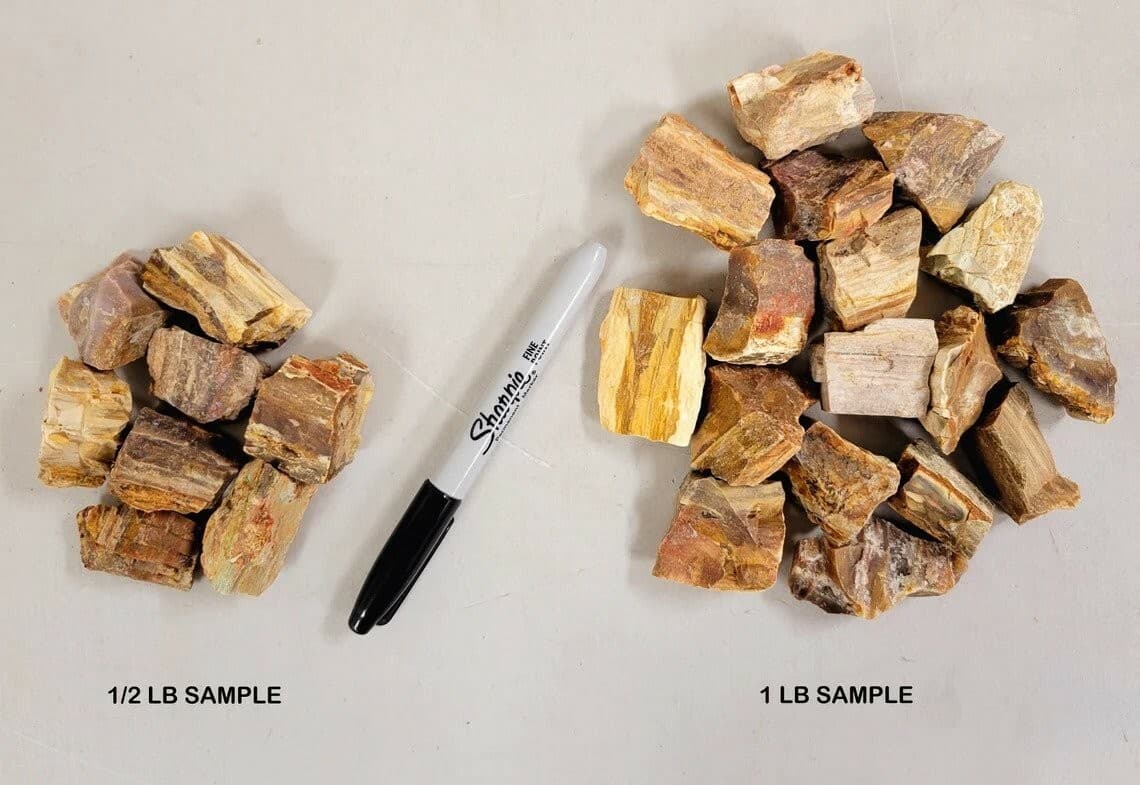 Rough Petrified Wood Crystals, Bulk Healing Gems & Fossil Stones for Tumbling 3