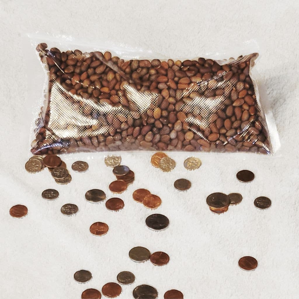 New Mexico Piñon Pine Nuts, 1lb Raw Pinon | Navajo Nation, Zuni Mountains