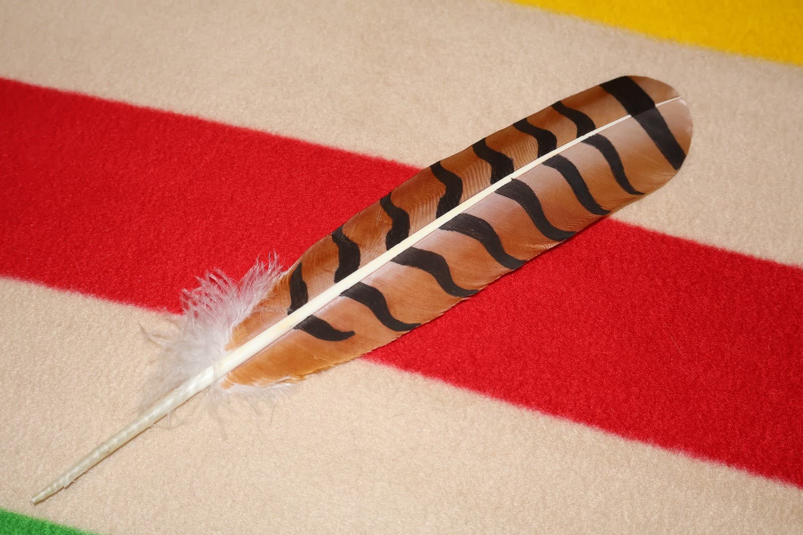 Native American hand painted Red-Tailed Hawk Feather 2