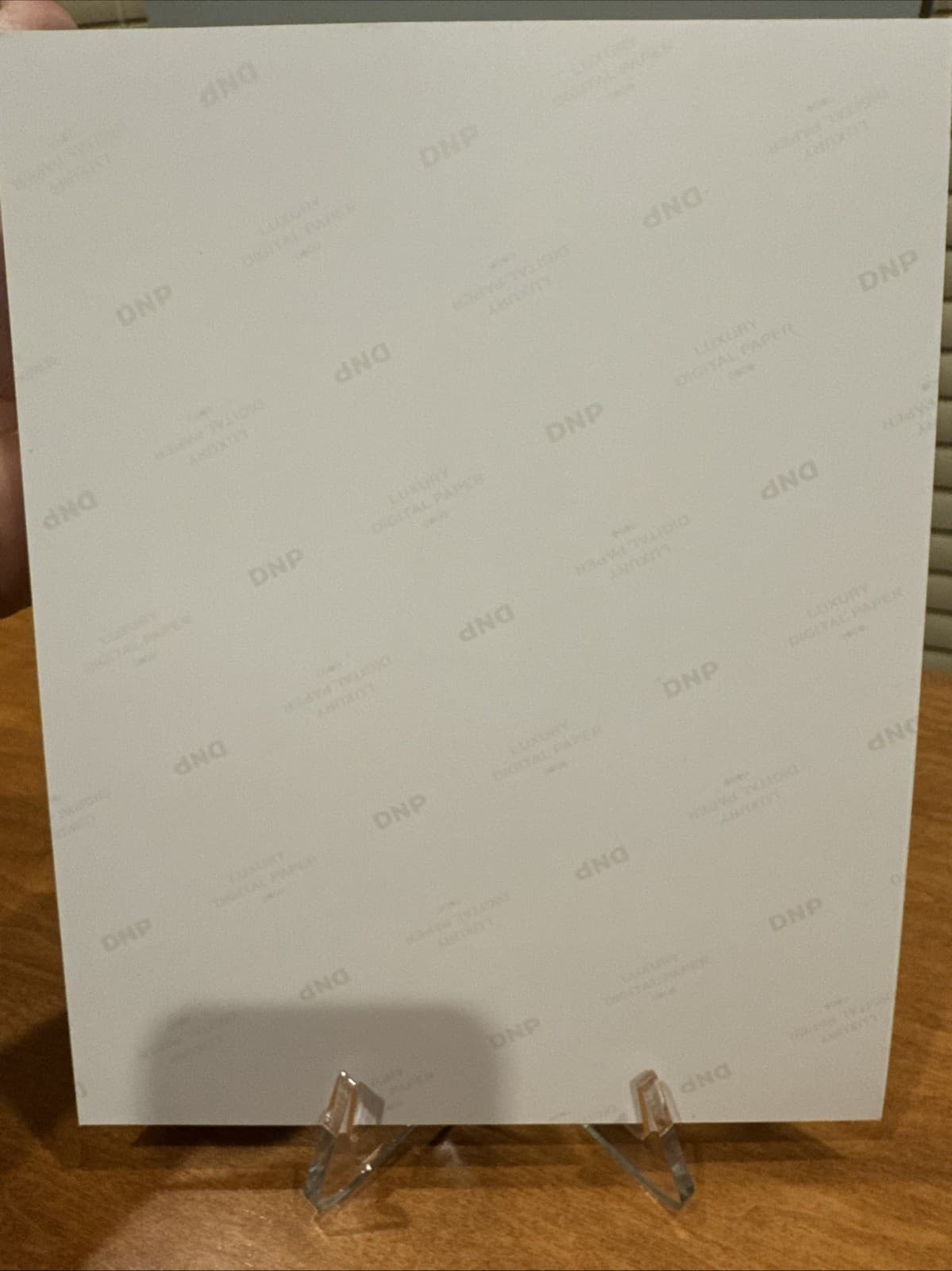 METALLIC Shotzi Blackheart WWE Signed 8x10 Photo Autographed 5