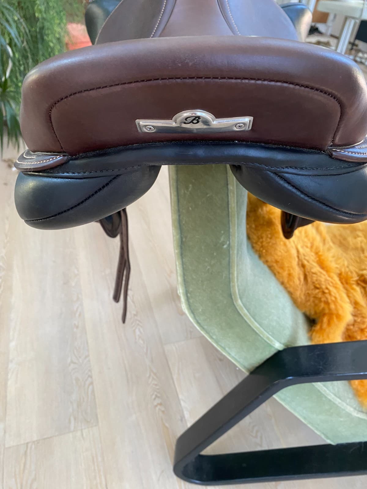 Bates Advanta Monoflap Eventing/Jump Saddle 3