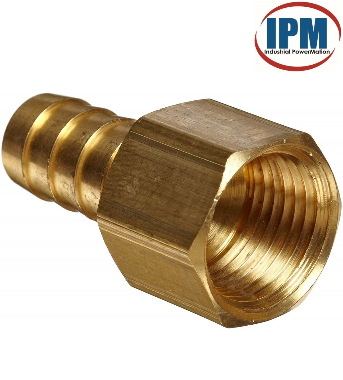 1/8" Hose Barb x 1/8" FEMALE NPT Brass Straight Fitting HB02-FNPT02 (IPM) NEW! 3
