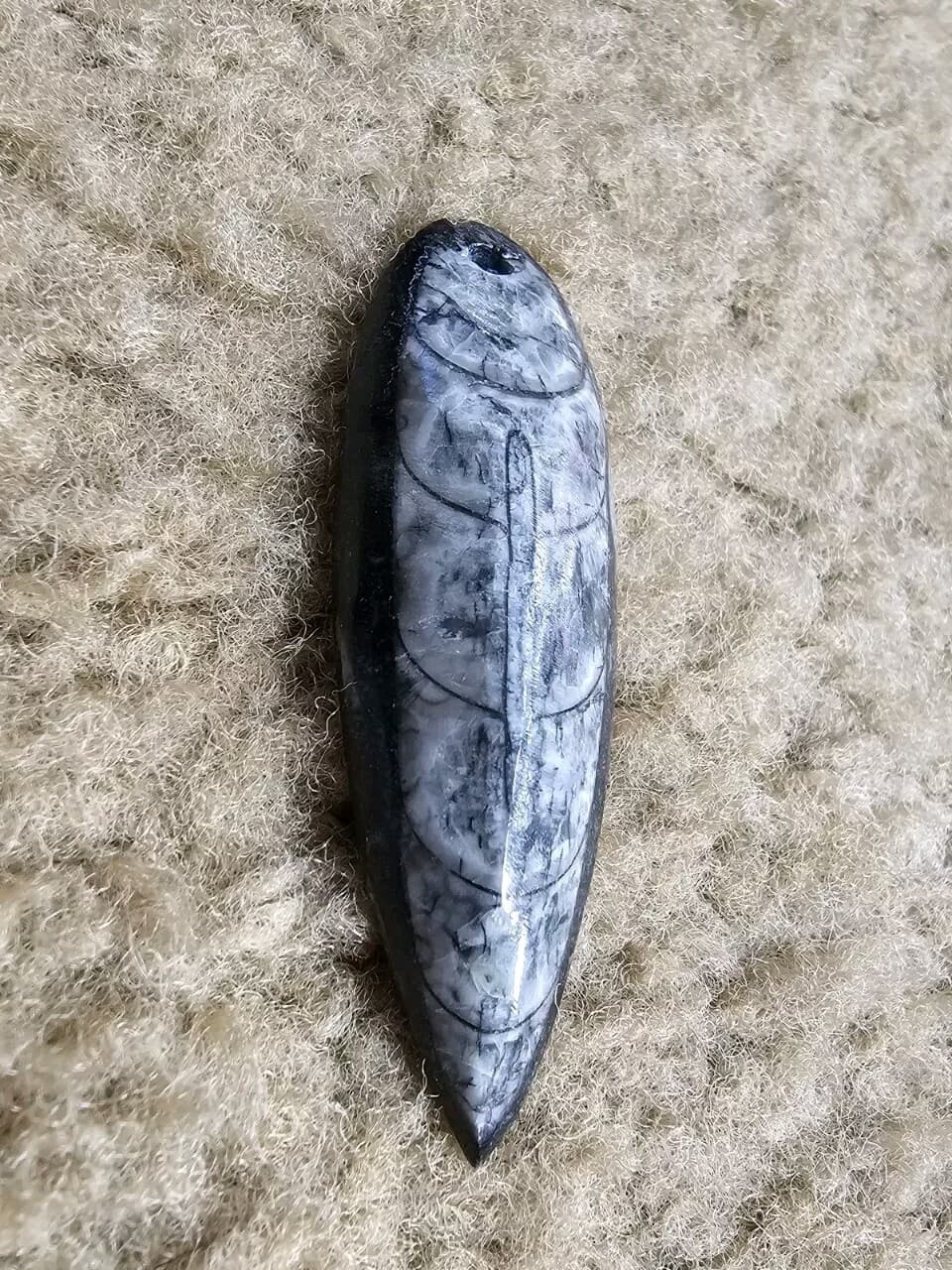 Orthoceras Focal Pendants, Polished Drilled Fossil, Nature Jewelry, Metaphysical 2