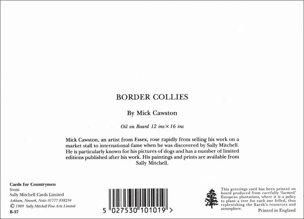 Border Collie Note Card  ~ by Artist John Trickett ~ Collie On The Hillside 2