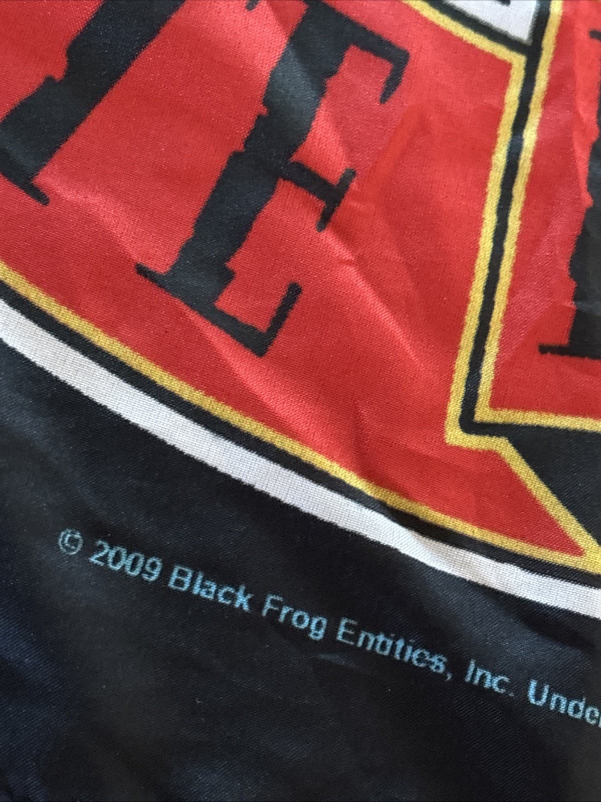 Vintage 2009 GUNS N AND ROSES AXL ROSE Banner Flag Tapestry Wall Hanging Italy 3