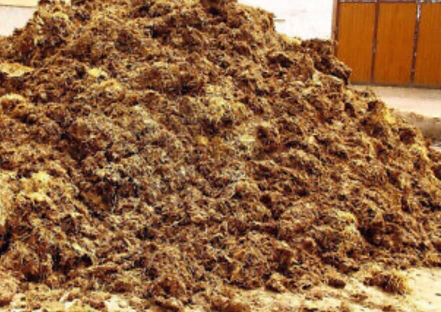 LARGE BOX (10 lbs) Dried Shredded Horse Manure Fertilizer Poop Sun Pasture Cured 5