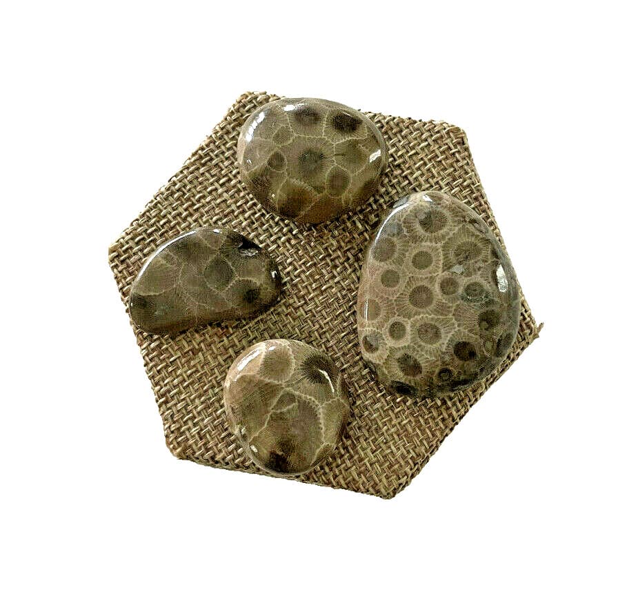 ***GREAT PRICE*** A SET OF 4 PETOSKEY STONES - BELOW RETAIL PLUS FREE SHIPPING! 5