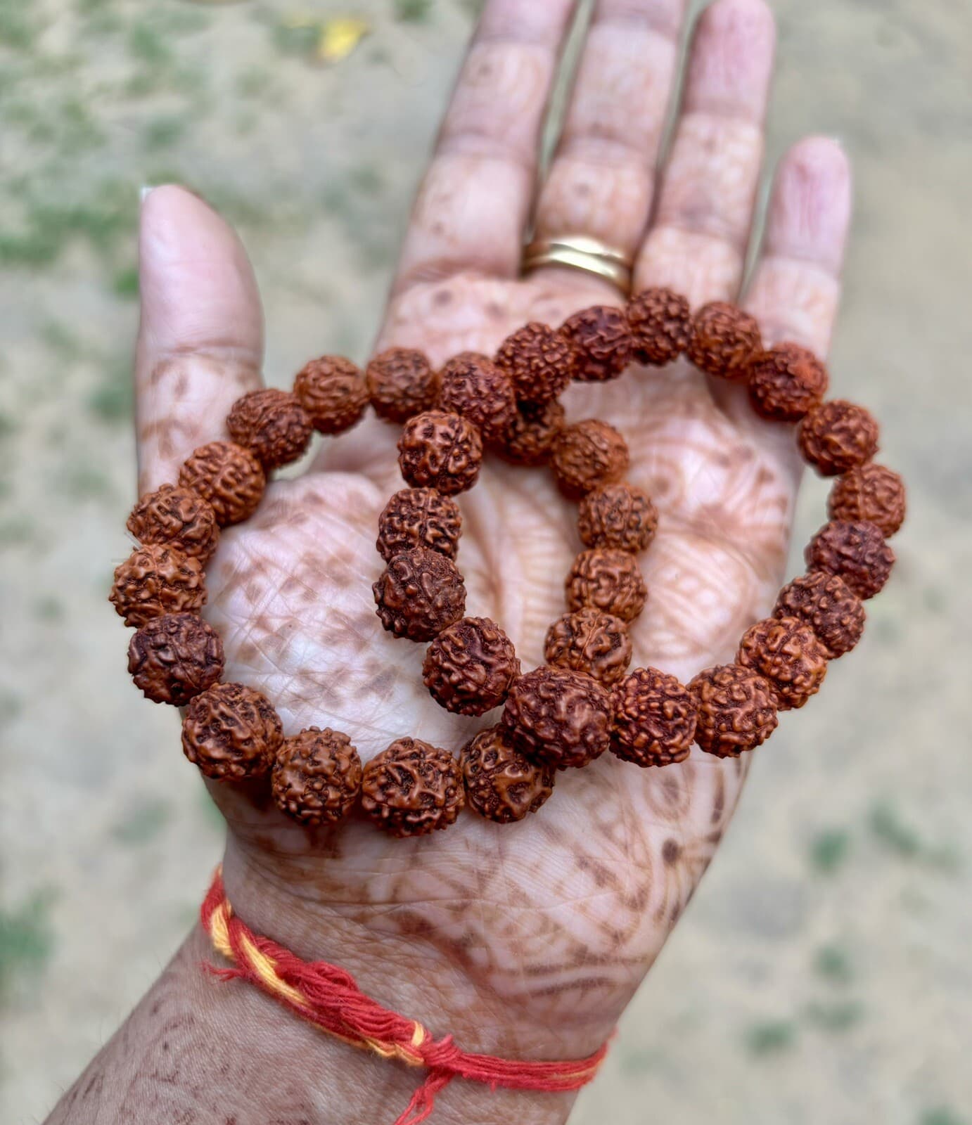 2 Pc Natural RUDRAKSHA 5 mukhi Rudraksh Bracelet Adjustable Unisex, 9-10 mm Size 5