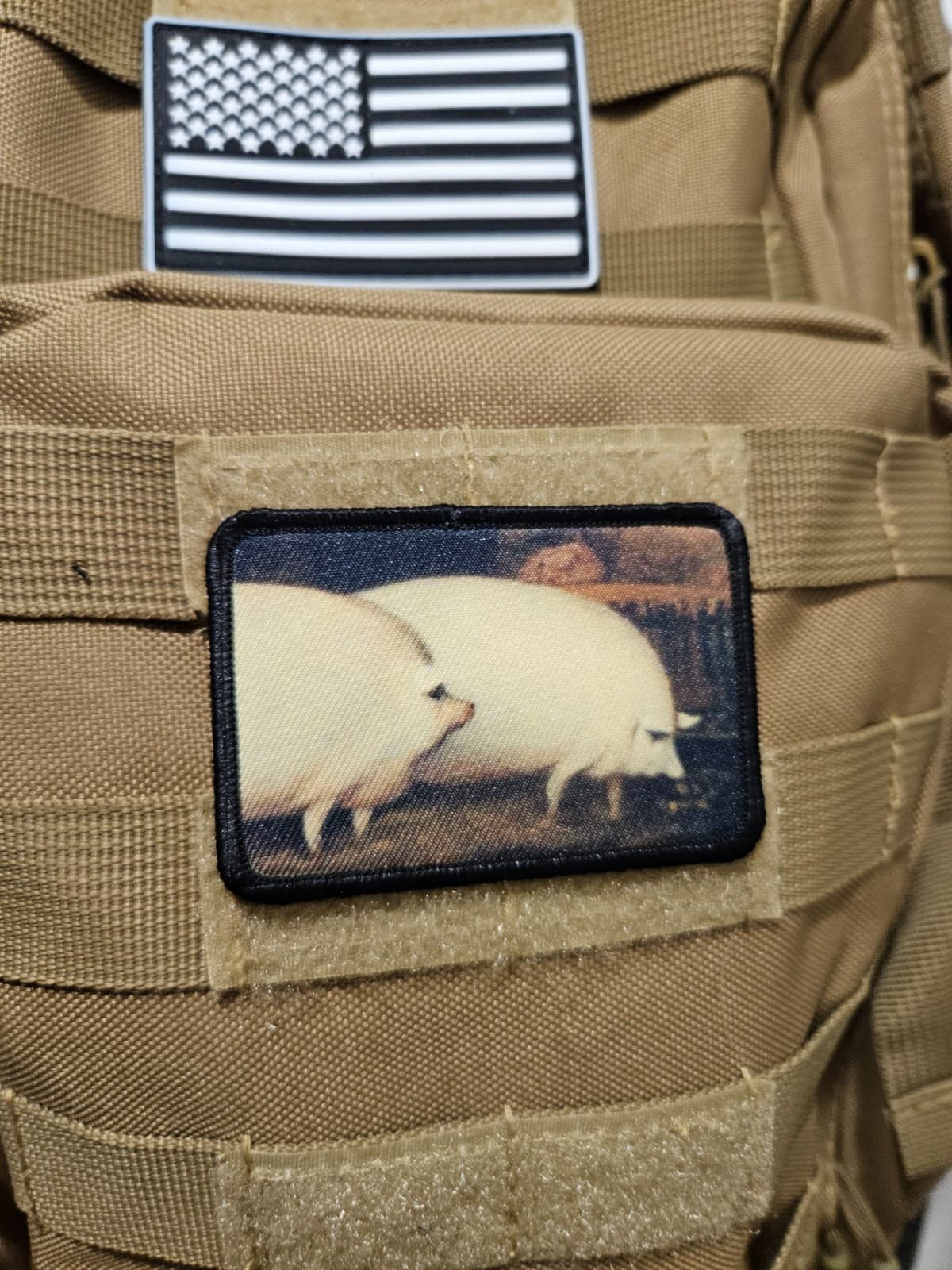 A pair of pigs brother may I have some oats meme  2"x3" hook & loop tactical 6