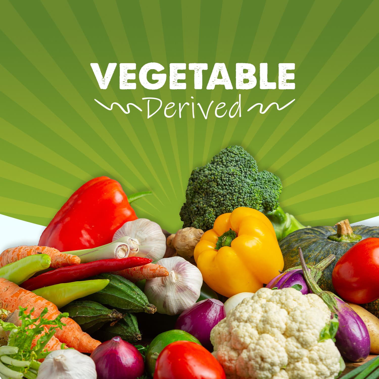 100 % PURE STEARIC ACID VEGETABLE PREMIUM QUALITY TRIPLE PRESS MADE IN USA 2