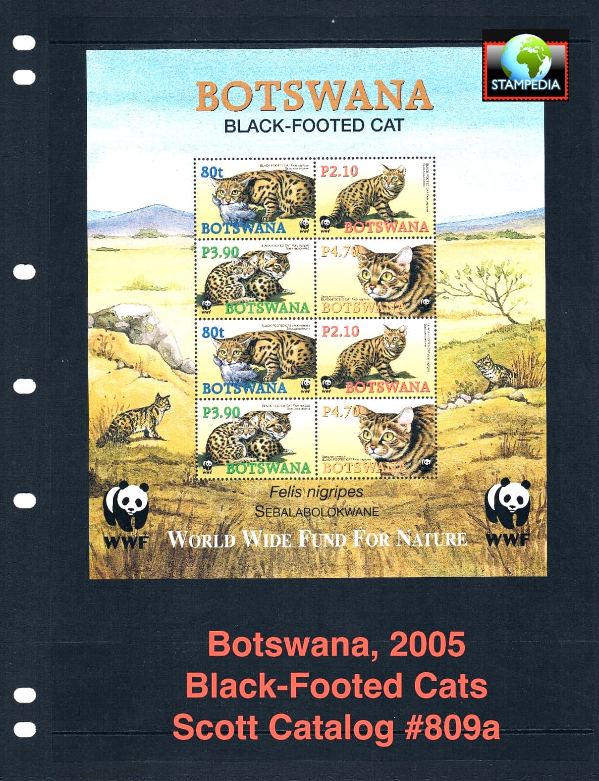 $10.00 Scott Value - 2005 BOTSWANA Wild Cats s/s African Wildlife CV MNH NH UMM
