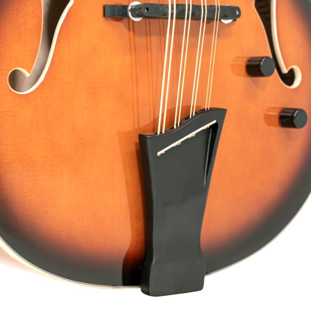 Gold Tone Acoustic Electric Mandocello, Mandolin Cello Hybrid Instrument w/Case 2