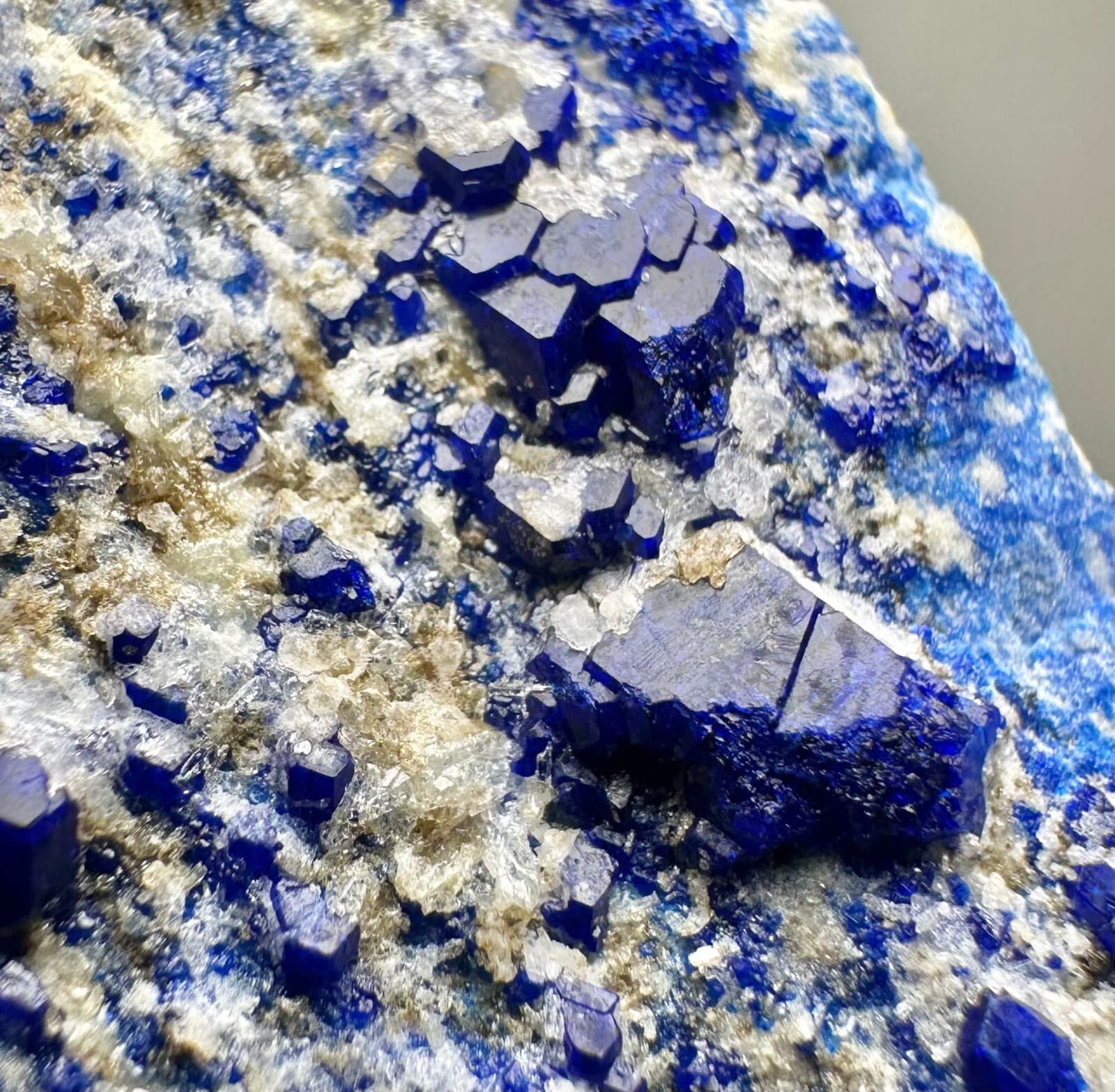 240 Gr. Full Terminated Rare Top Blue Hauyne Crystals Cluster On Matrix @Afg 6
