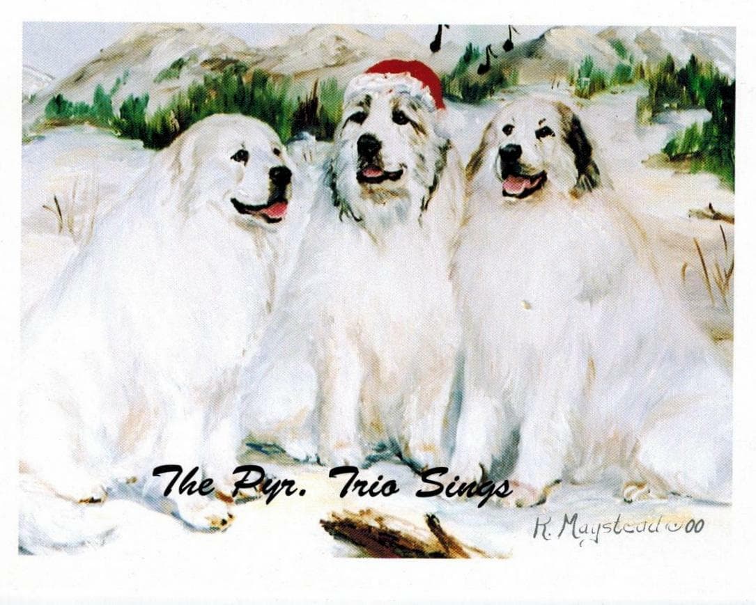 Le Chien des Pyrenees Holiday Greeting Card Set - 12 Cards Artist Ruth Maystead