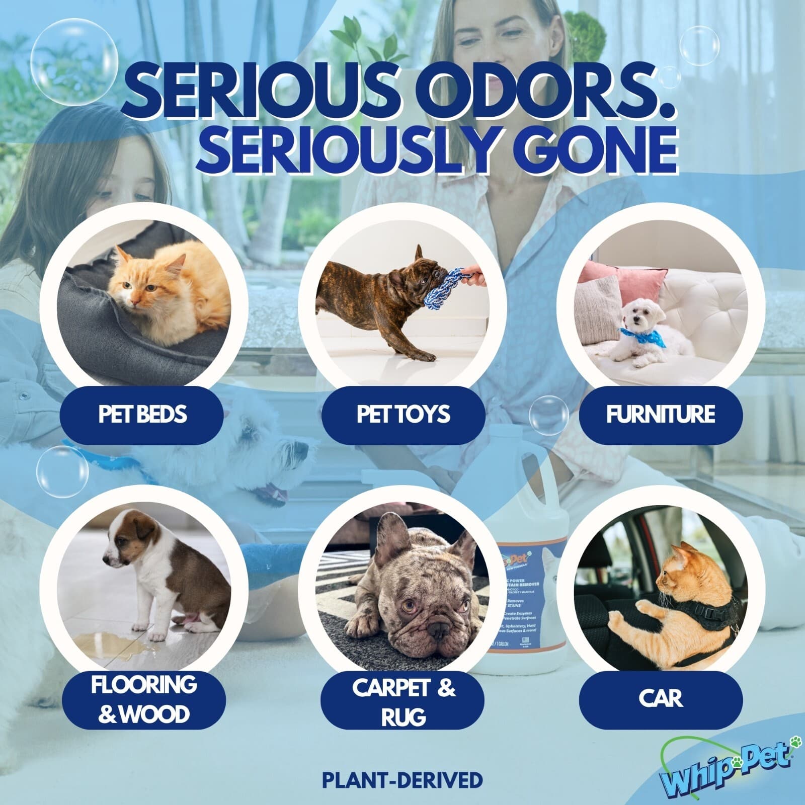 Whip-Pet® Pet Stain & Odor Remover Gallon Size NEW IMPROVED FORMULA 2