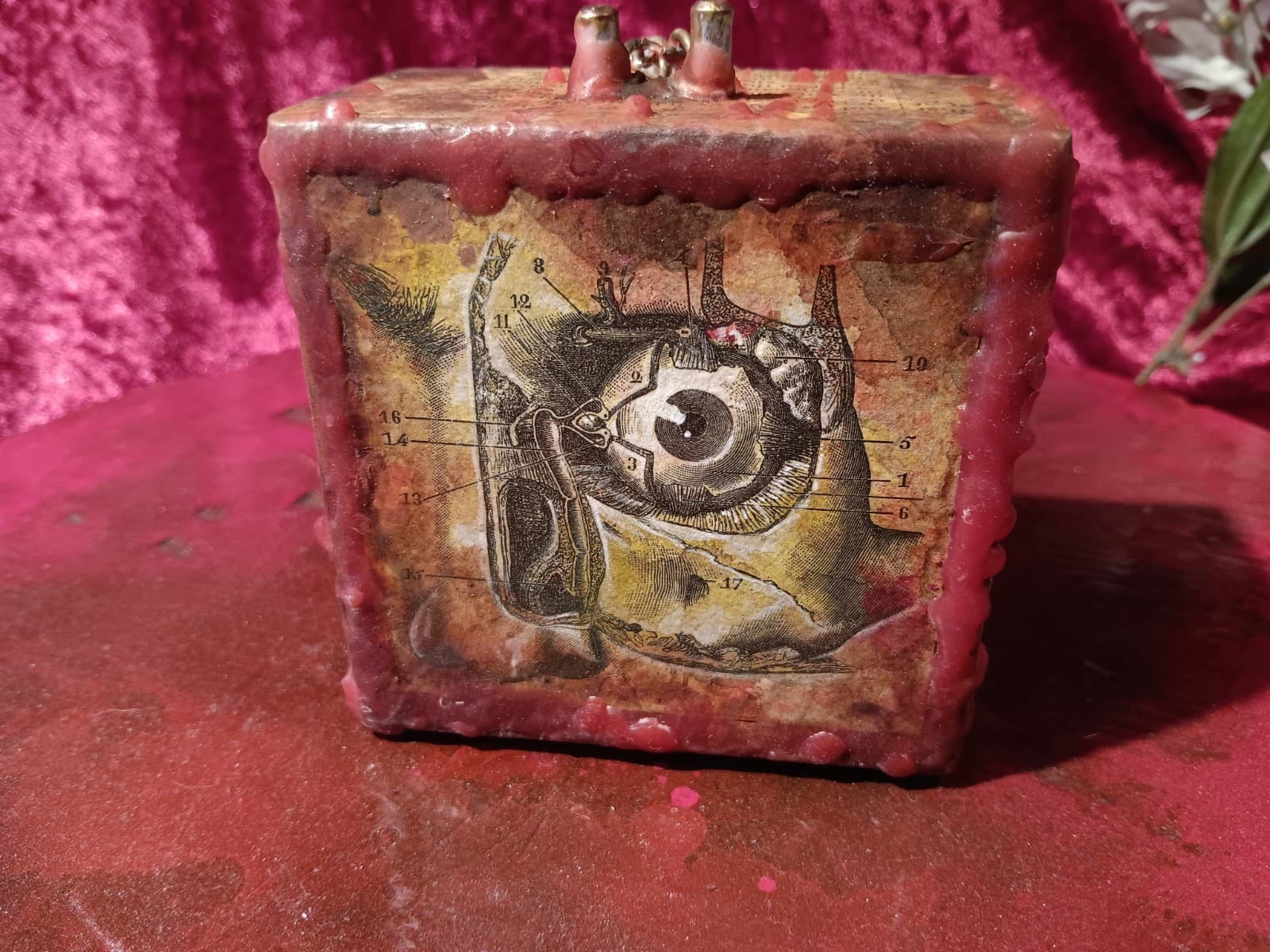 ANATOMICAL DYBBUK BOX ▪︎ Heal Mind Sick Inflict Curse • sealed in wax doom PAIN 4