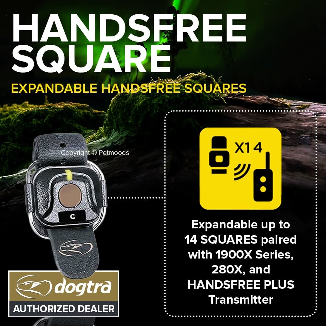 Dogtra HANDSFREE Square Remote Dog Training Expandable Device 1900x Series, 280x 3