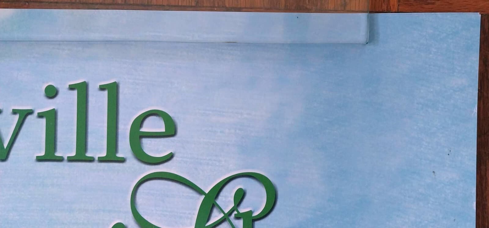 2002 original Shelbyville TN Horse Show Poster Shelby County Tennessee 20x28 4