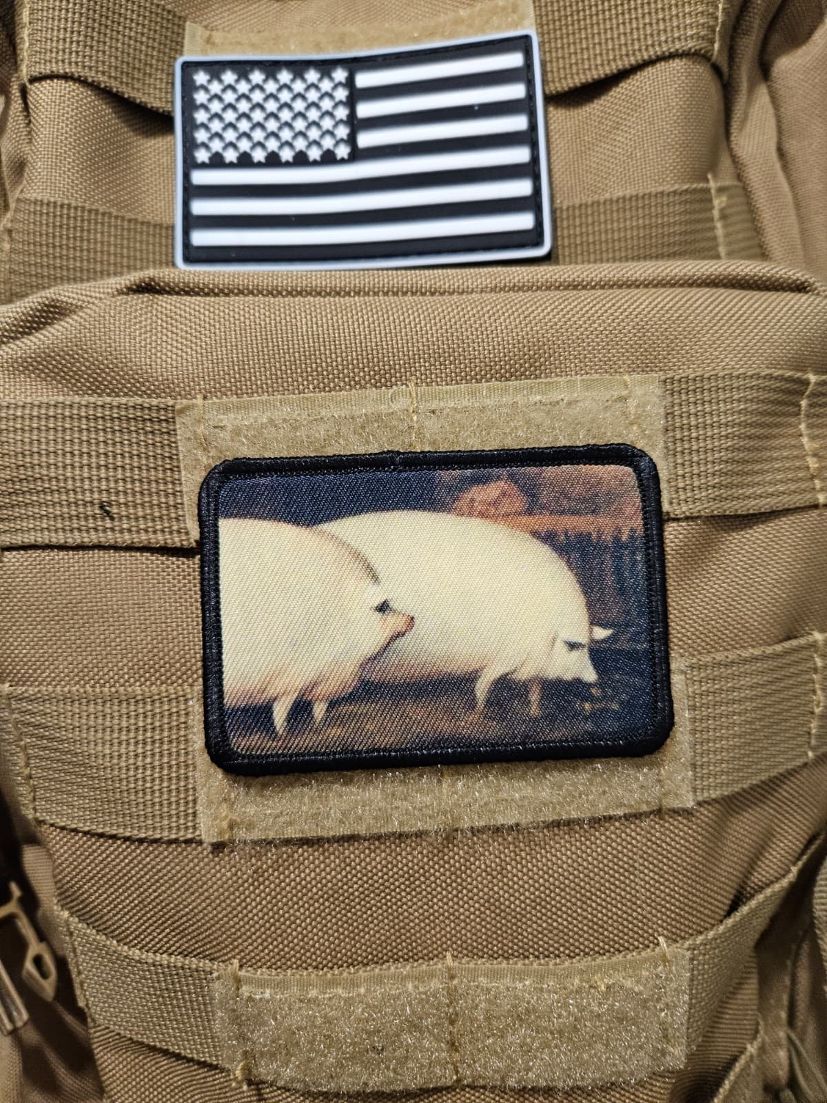 A pair of pigs brother may I have some oats meme  2"x3" hook & loop tactical 4