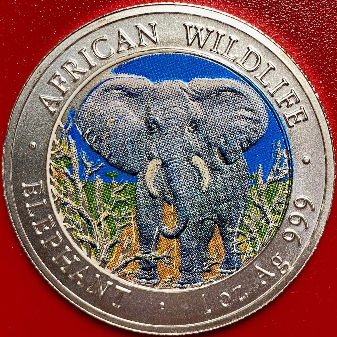 2004 SOMALIA 1000 SHILLINGS 1oz SILVER ELEPHANT COLORIZED AFRICAN WILDLIFE CROWN 2